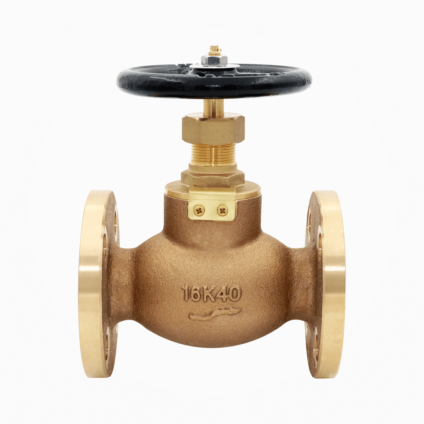 Globe Valve